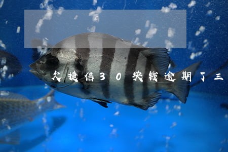 欠捷信30块钱逾期了三天 欠捷信30块钱逾期了三天