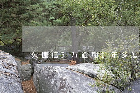 欠捷信3万逾期1年多怎么办 欠捷信3万逾期1年多怎么办