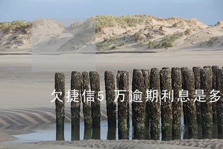 欠捷信5万逾期利息是多少钱 欠捷信5万逾期利息是多少钱