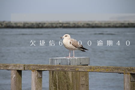 欠捷信6000逾期400多天 欠捷信6000逾期400多天