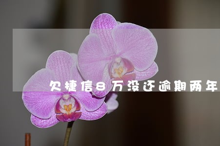 欠捷信8万没还逾期两年 欠捷信8万没还逾期两年