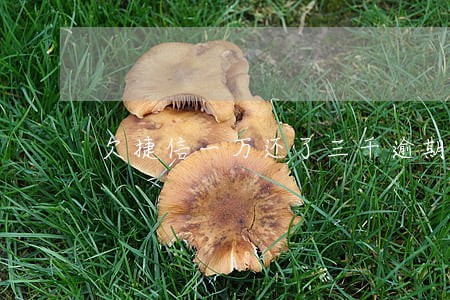 欠捷信一万还了三千逾期了半年 欠捷信一万还了三千逾期了半年