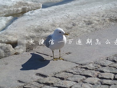 欠捷信一万逾期怎么办 欠捷信一万逾期怎么办