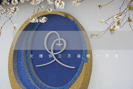 欠捷信三万逾期一年多 欠捷信三万逾期一年多