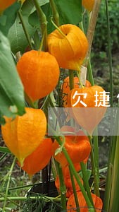 欠捷信三年算是逾期多少次 欠捷信三年算是逾期多少次