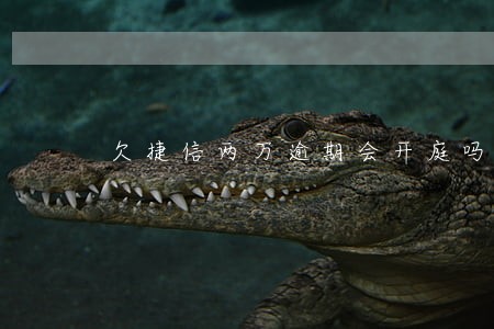 欠捷信两万逾期会开庭吗 欠捷信两万逾期会开庭吗