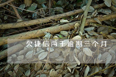 欠捷信两千逾期三个月 欠捷信两千逾期三个月