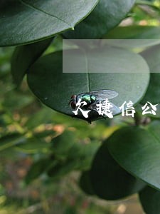 欠捷信公司1千块钱逾期1个月 欠捷信公司1千块钱逾期1个月