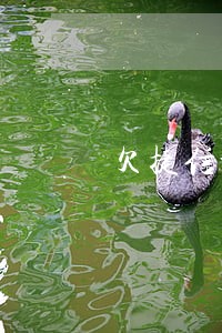 欠捷信公司只还本金可以吗 欠捷信公司只还本金可以吗