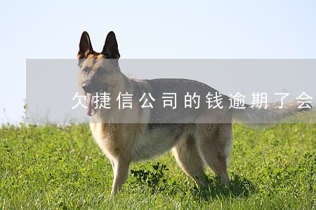 欠捷信公司的钱逾期了会怎么样 欠捷信公司的钱逾期了会怎么样