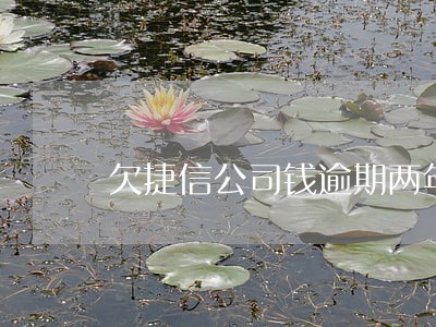 欠捷信公司钱逾期两年没还犯法吗 欠捷信公司钱逾期两年没还犯法吗