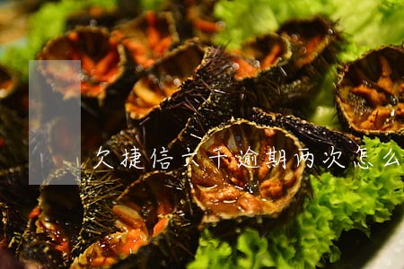欠捷信六千逾期两次怎么办 欠捷信六千逾期两次怎么办