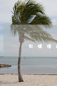 欠捷信几百块逾期1年 欠捷信几百块逾期1年