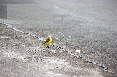 欠捷信四千逾期了 欠捷信四千逾期了