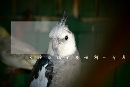欠捷信现金贷逾期一个月了 欠捷信现金贷逾期一个月了