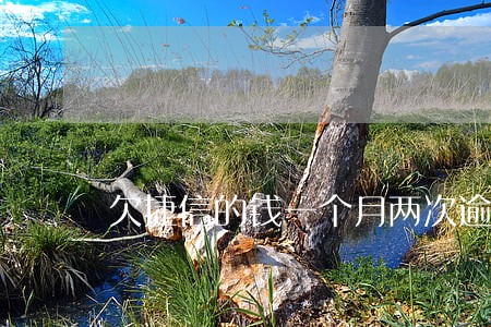 欠捷信的钱一个月两次逾期 欠捷信的钱一个月两次逾期