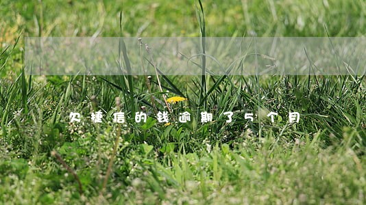 欠捷信的钱逾期了5个月 欠捷信的钱逾期了5个月