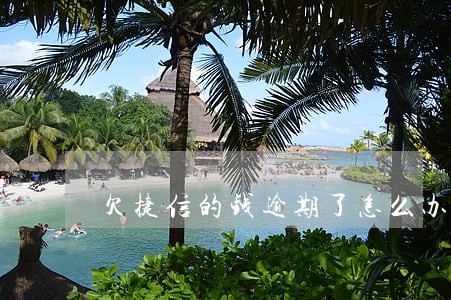 欠捷信的钱逾期了怎么办 欠捷信的钱逾期了怎么办