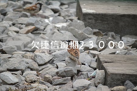 欠捷信逾期23000 欠捷信逾期23000