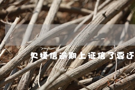 欠捷信逾期上征信了要还吗 欠捷信逾期上征信了要还吗