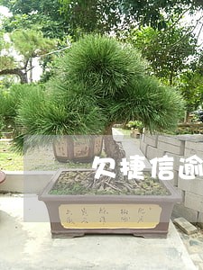 欠捷信逾期了怎么办 欠捷信逾期了怎么办