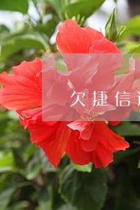 欠捷信逾期二十期一期没还 欠捷信逾期二十期一期没还