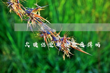 欠捷信逾期会被通缉吗 欠捷信逾期会被通缉吗