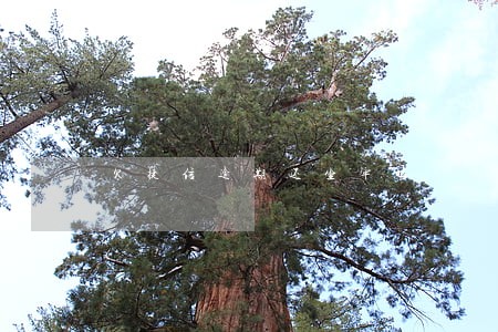 欠捷信逾期还坐牢吗 欠捷信逾期还坐牢吗