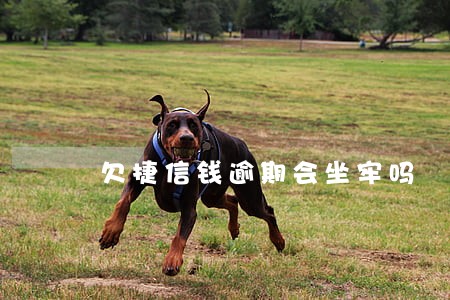 欠捷信钱逾期会坐牢吗 欠捷信钱逾期会坐牢吗