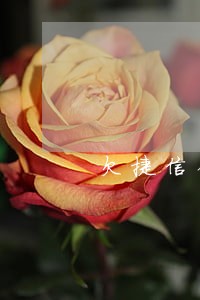 欠捷信钱逾期十年 欠捷信钱逾期十年