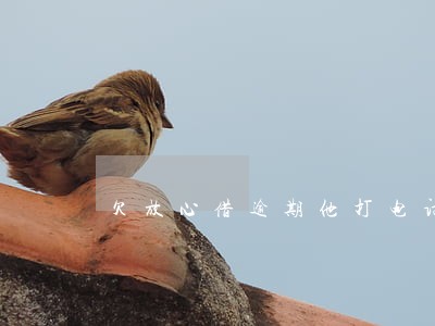 欠放心借逾期他打电话说上门