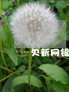 欠新网银行车贷逾期拖车么 欠新网银行车贷逾期拖车么