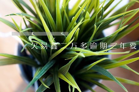 欠易鑫二万多逾期三年要还多少