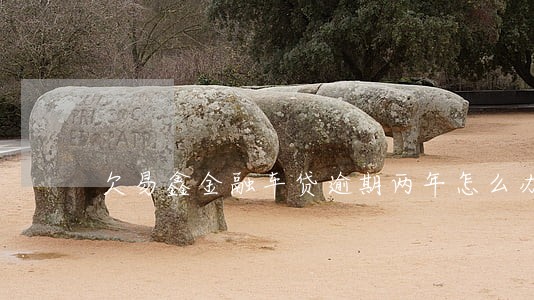 欠易鑫金融车贷逾期两年怎么办 欠易鑫金融车贷逾期两年怎么办