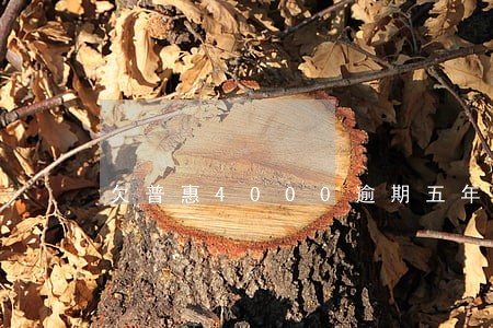 欠普惠4000逾期五年 欠普惠4000逾期五年