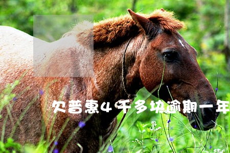 欠普惠4千多块逾期一年了怎么办 欠普惠4千多块逾期一年了怎么办