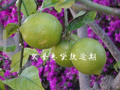 欠普惠贷款逾期 欠普惠贷款逾期