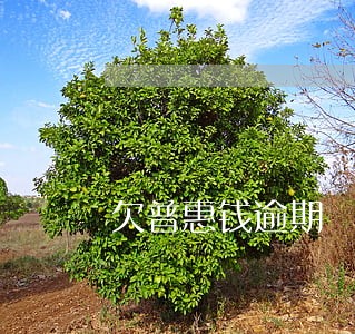 欠普惠钱逾期