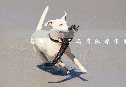 欠条7年了还有法律作用吗 欠条7年了还有法律作用吗