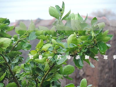 欠条一万块逾期一年多少利息 欠条一万块逾期一年多少利息