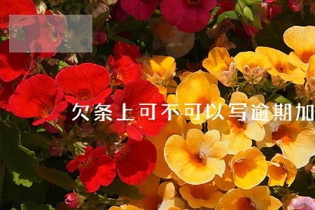 欠条上可不可以写逾期加利息 欠条上可不可以写逾期加利息