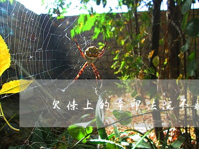 欠条上的章印法院不验真假就判定