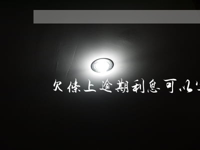 欠条上逾期利息可以写多少 欠条上逾期利息可以写多少