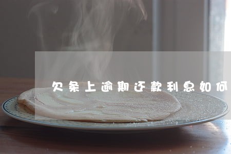 欠条上逾期还款利息如何计算 欠条上逾期还款利息如何计算