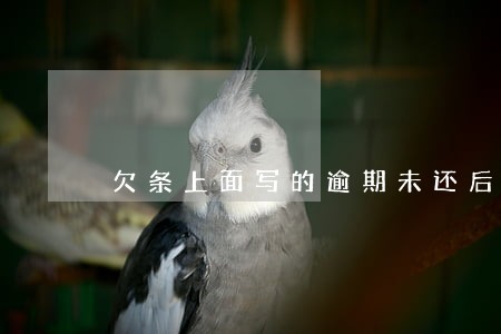 欠条上面写的逾期未还后果自负 欠条上面写的逾期未还后果自负