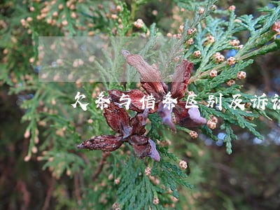 欠条与借条区别及诉讼 欠条与借条区别及诉讼