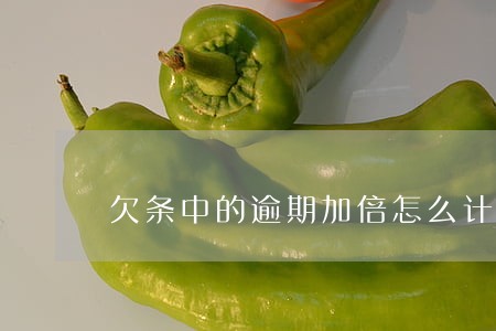欠条中的逾期加倍怎么计算 欠条中的逾期加倍怎么计算