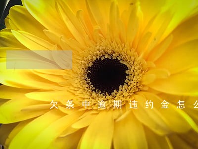 欠条中逾期违约金怎么写 欠条中逾期违约金怎么写