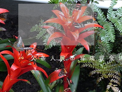 欠条人民币写成现金法院怎么判 欠条人民币写成现金法院怎么判