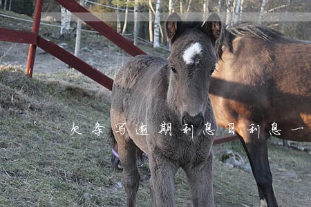 欠条写逾期利息日利息一分合法吗